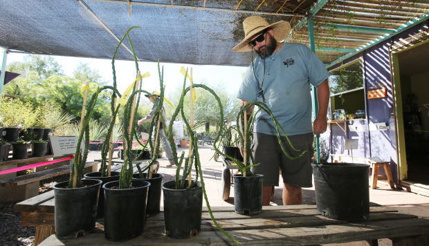Desert Survivors Nursery